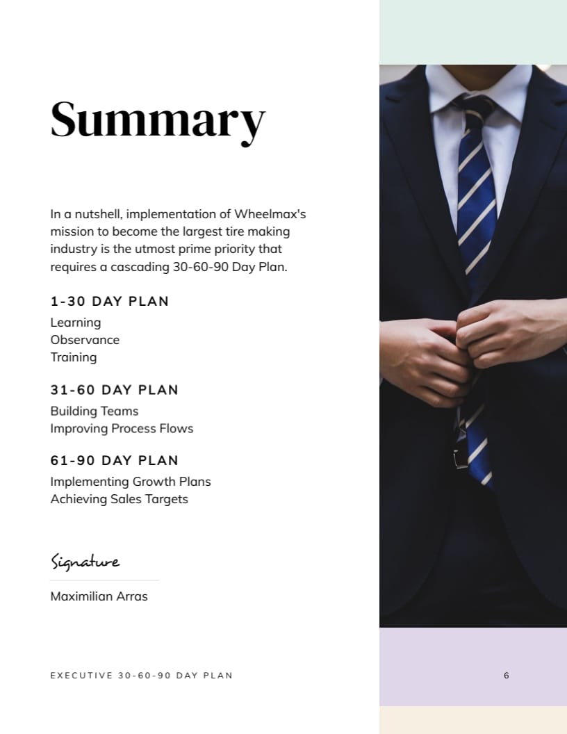 CEO 30-60-90 Day Plan Template | Visme