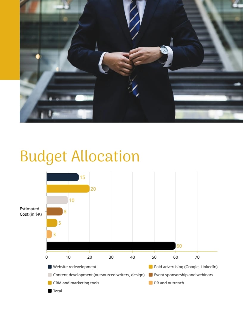 CPA Firm Marketing Plan Template | Visme