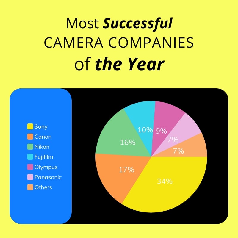 Camera Companies Sales Pie Chart Square Template