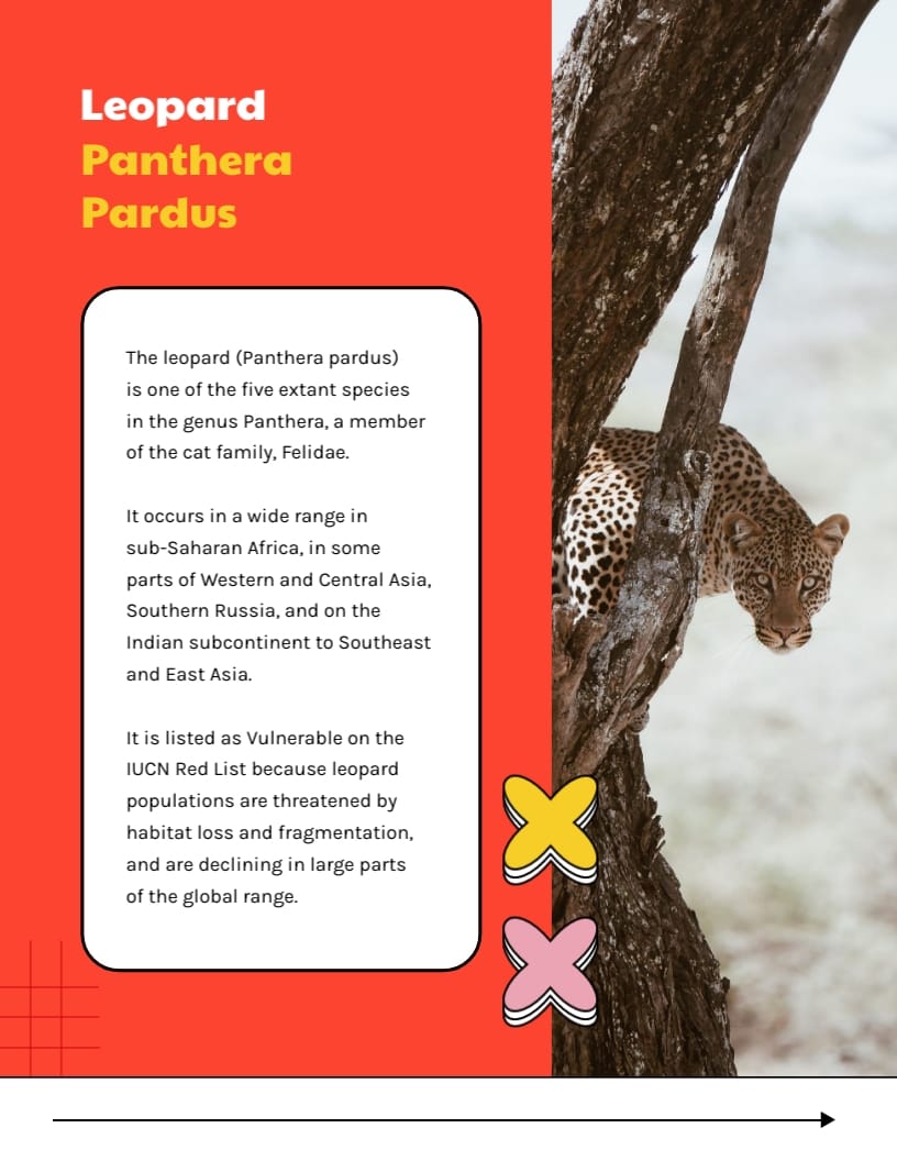 Children Educational Ebook Template | Visme