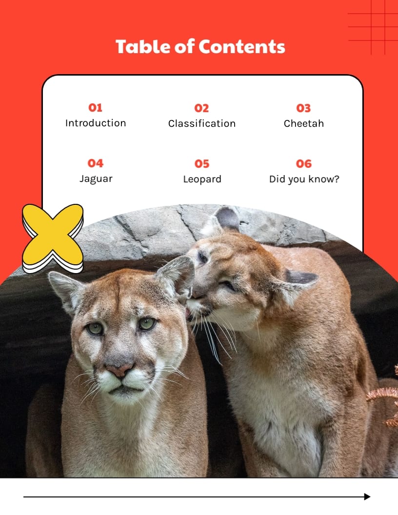Children Educational Ebook Template | Visme