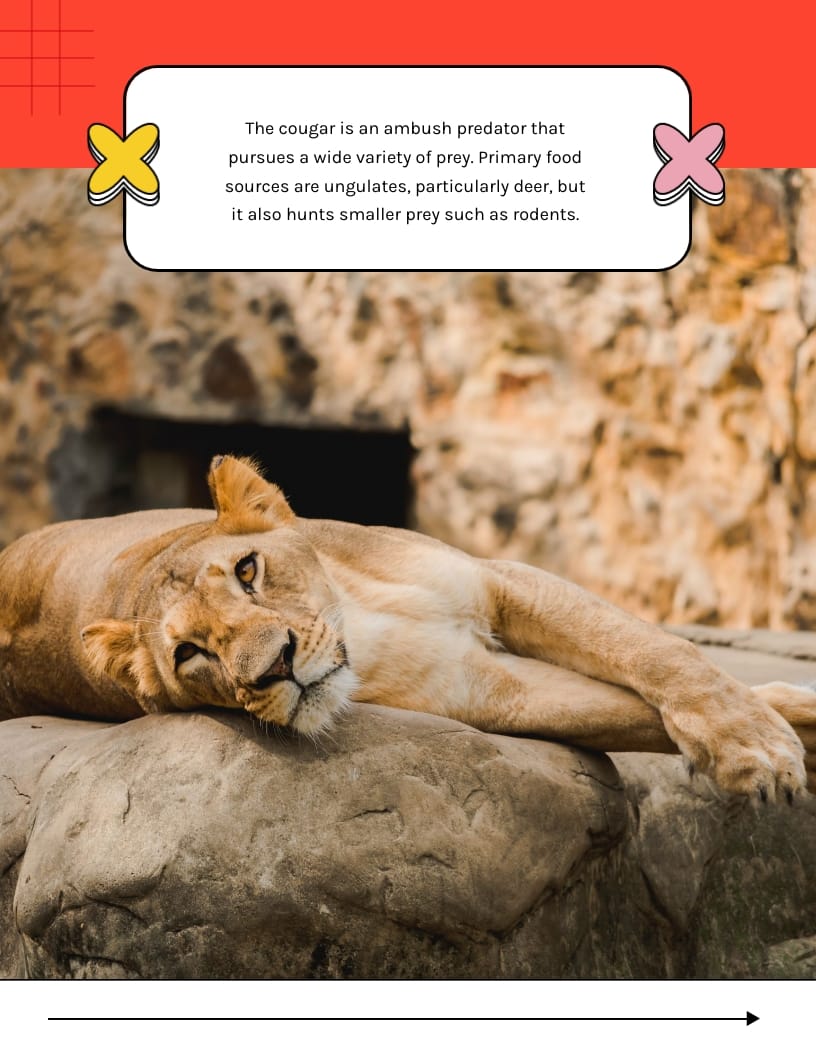 Children Educational Ebook Template | Visme
