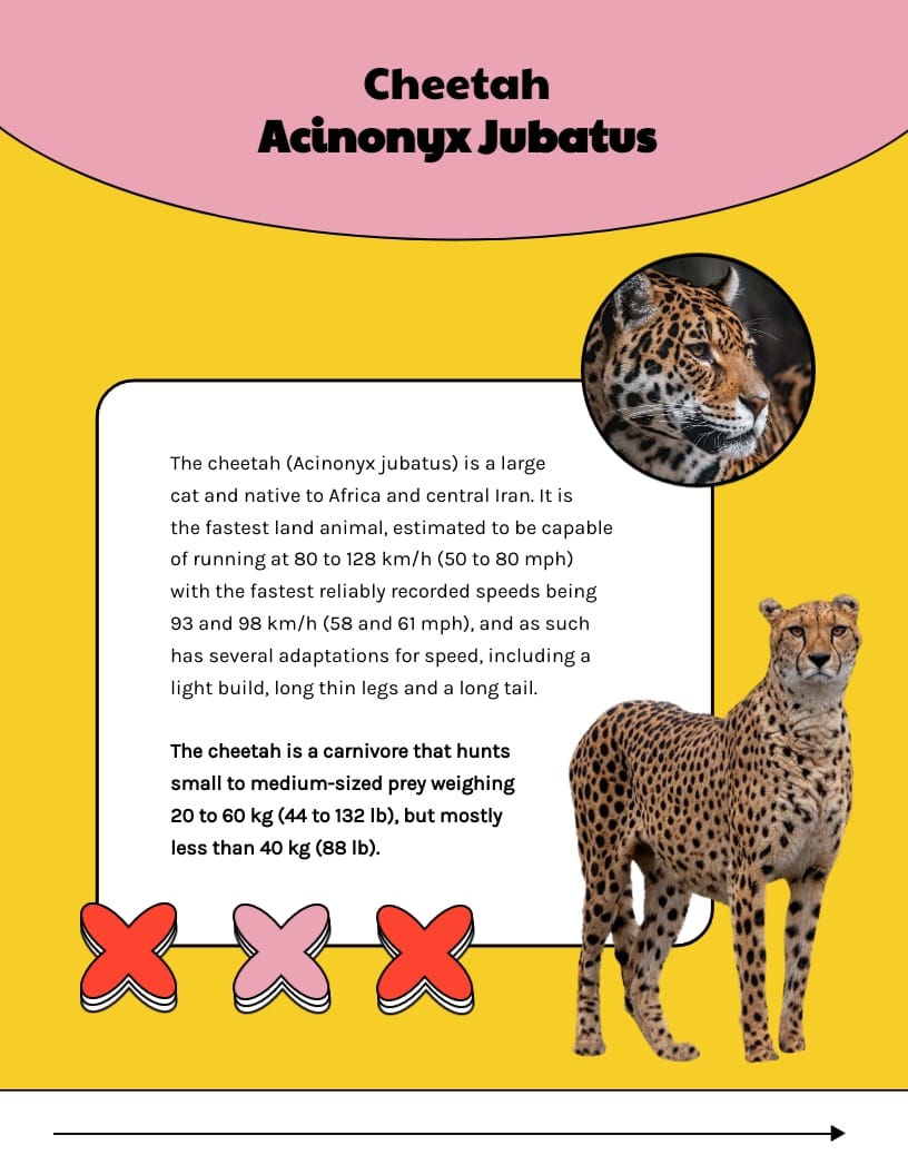 Children Educational Ebook Template | Visme
