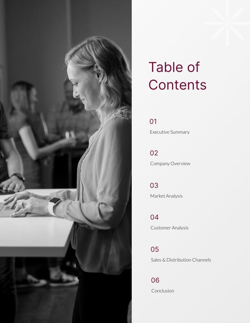 Commercial Due Diligence Report