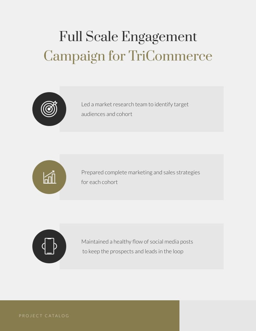 Communications Manager Project Catalog Template - Slide 4 Communications Manager Project Catalog Template - Slide 4