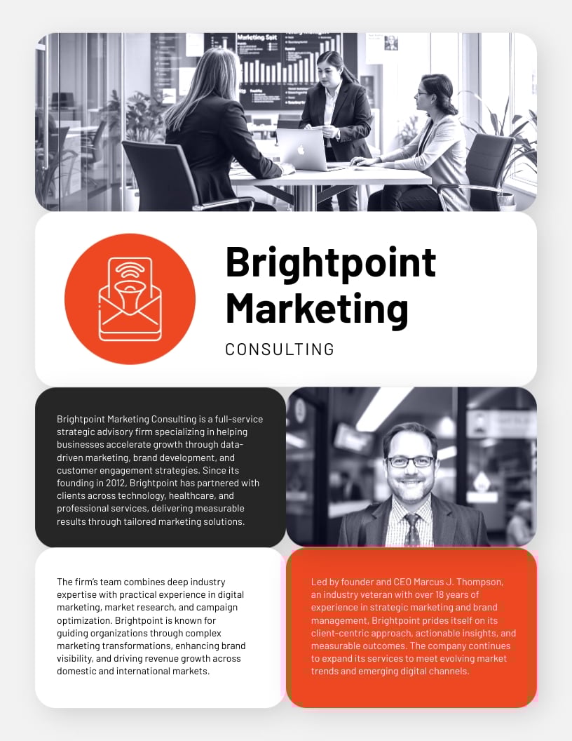 Company Bio Template