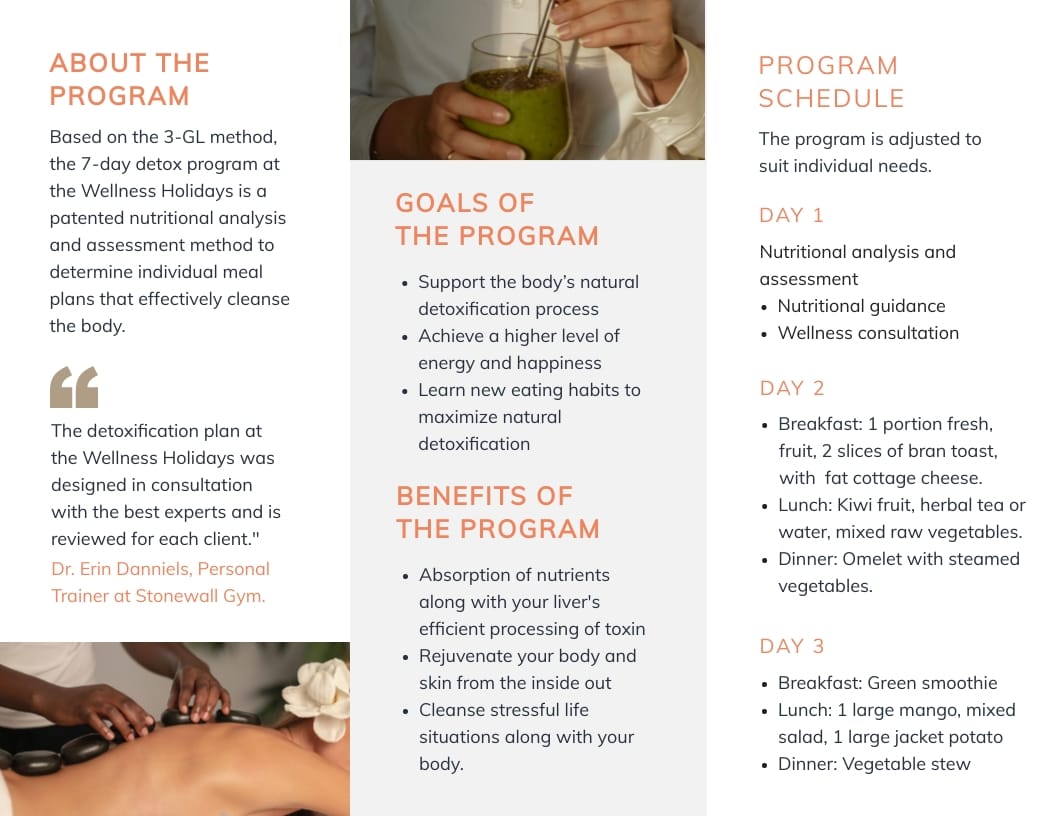 Detox Program Trifold Brochure Template - Slide 2 Detox Program Trifold Brochure Template - Slide 2