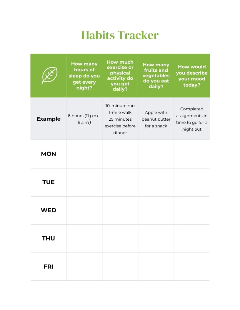 Diet Plan Workbook Template - Slide 5 Diet Plan Workbook Template - Slide 5