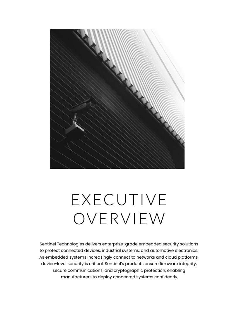 Embedded Security Product Portfolio Template - Slide 3 Embedded Security Product Portfolio Template - Slide 3