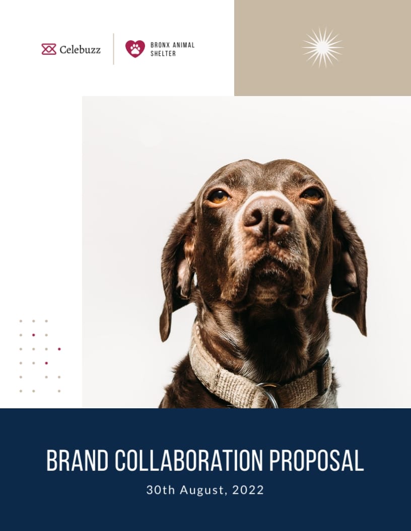 Entertainment Brand Collaboration Proposal Template