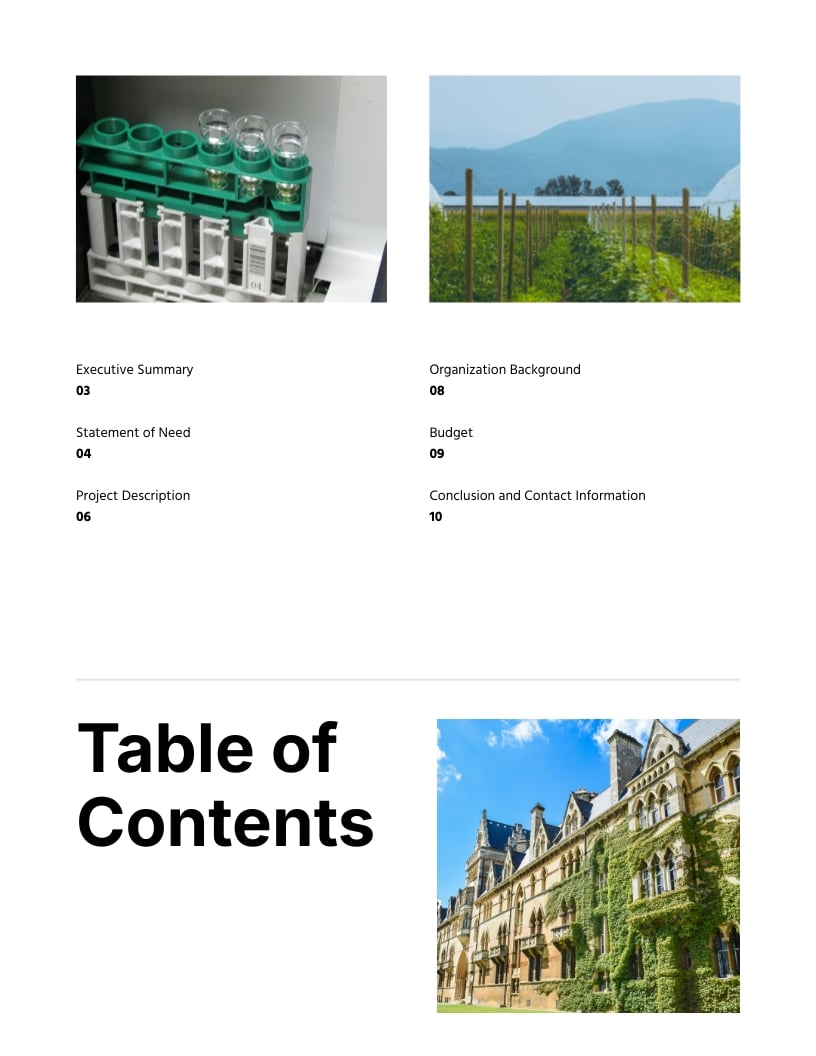 Executive Summary Grant Proposal Template | Visme