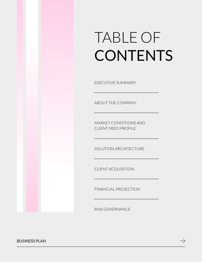 Financial Management Plan Template | Visme