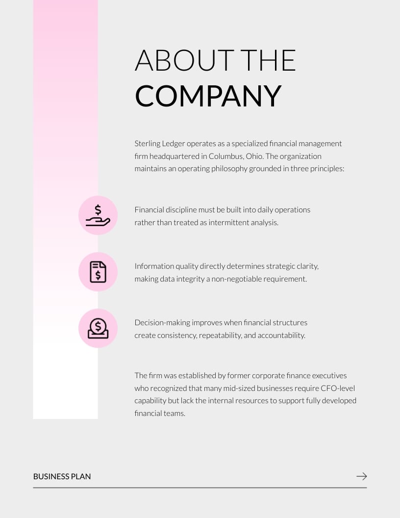 Financial Management Plan Template | Visme