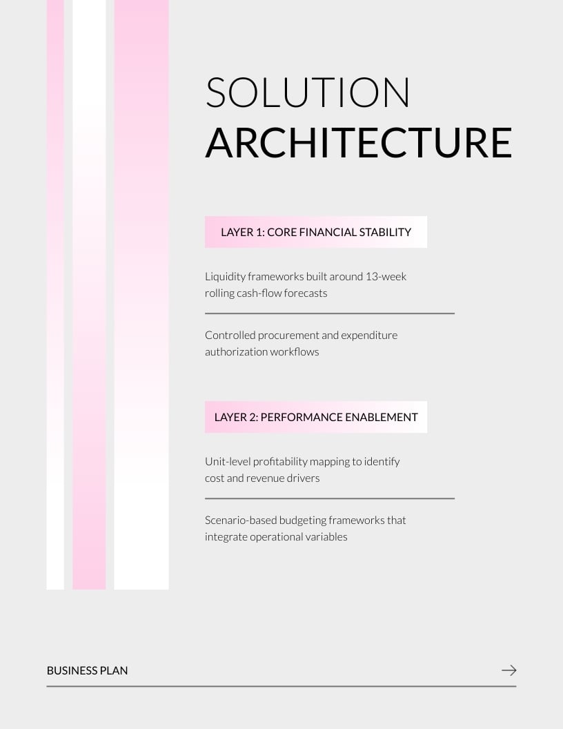 Financial Management Plan Template | Visme