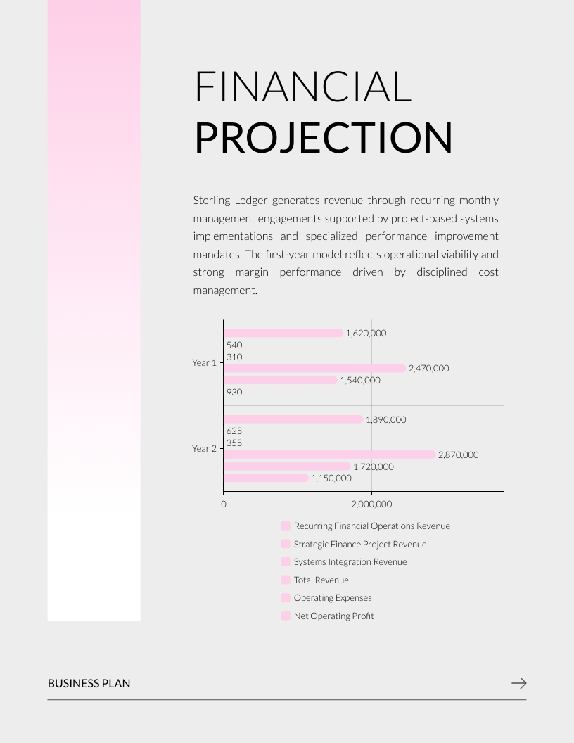 Financial Management Plan Template | Visme