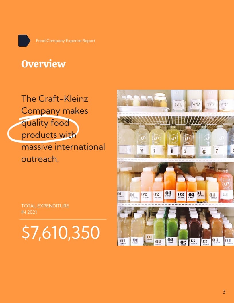 Food Company Expense Report