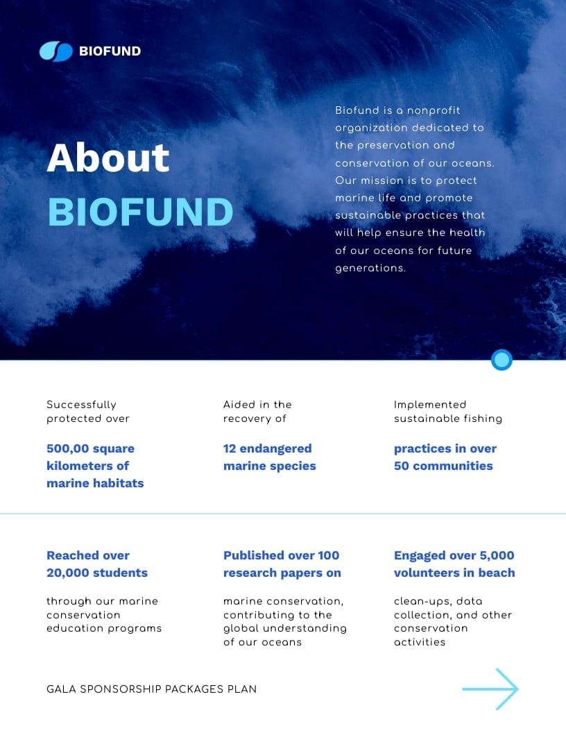 Gala Sponsorship Packages Plan