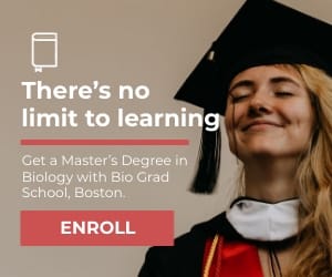 Graduate School Medium Rectangle Template