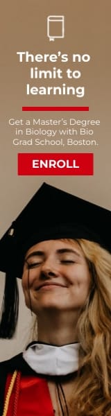 Graduate School Wide Skyscraper Template