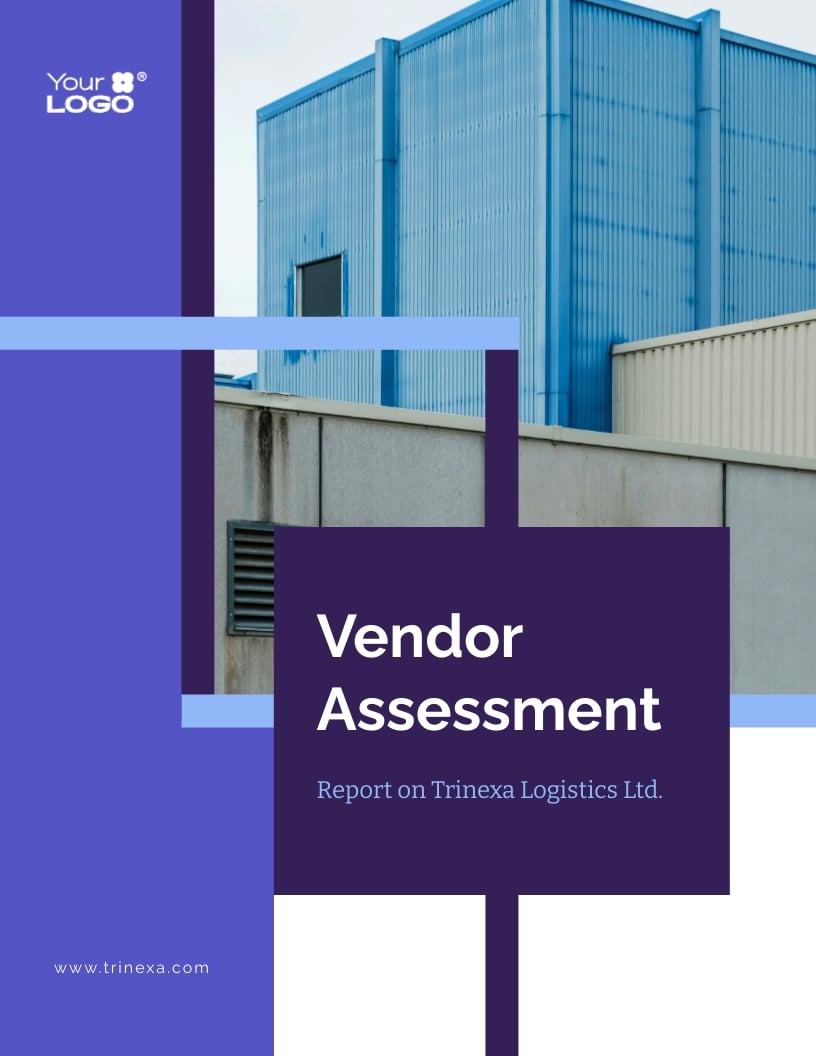 High Risk Vendor Assessment Report Template