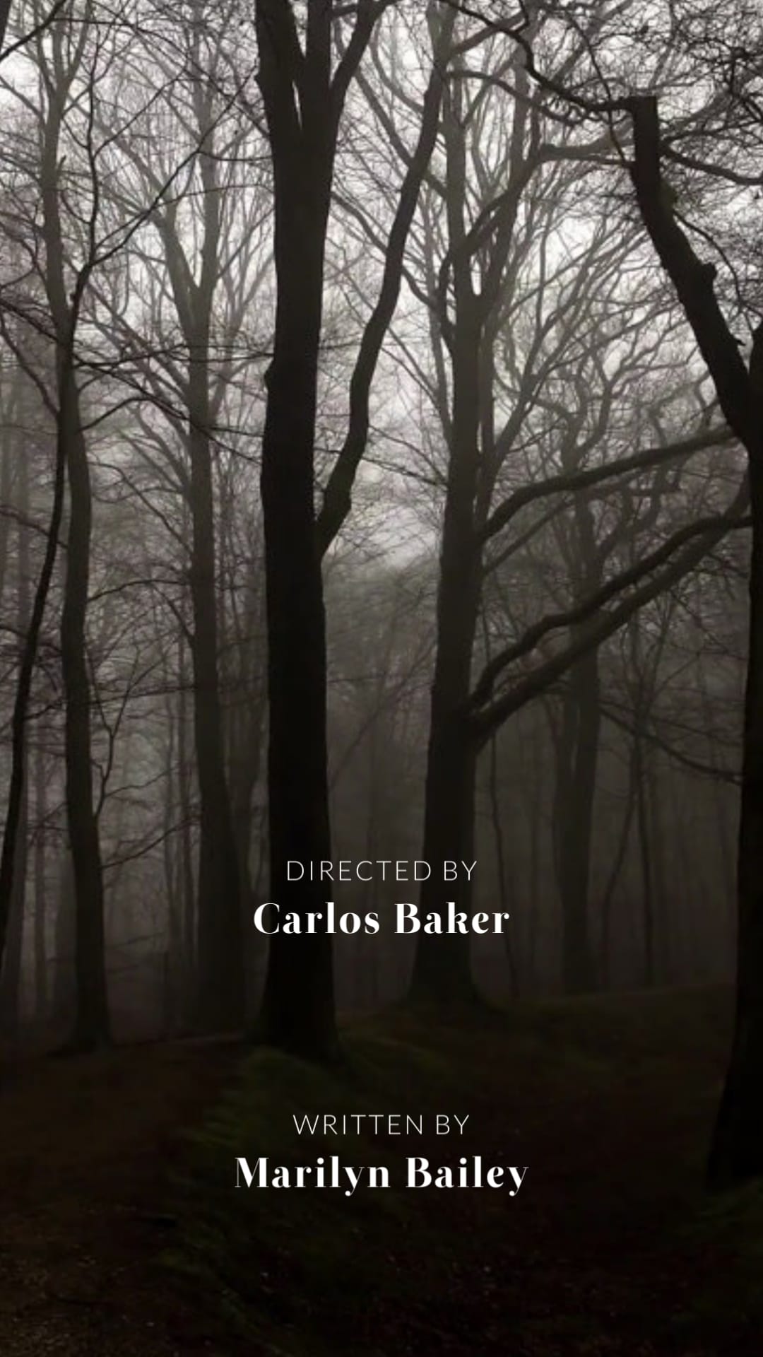 Horror Film Credits Video Vertical Template