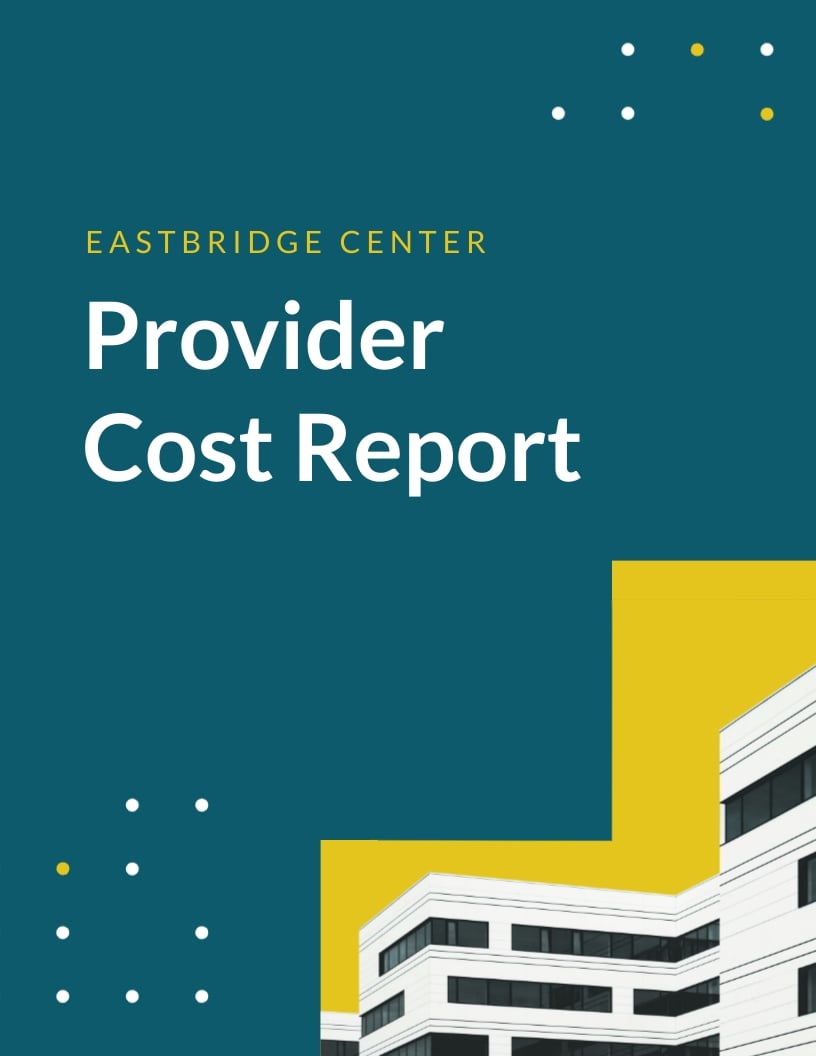 Hospital Provider Cost Report Template