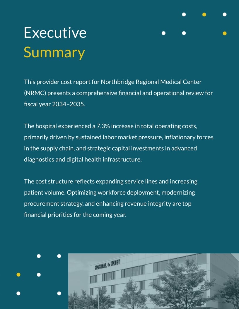 Hospital Provider Cost Report Template | Visme