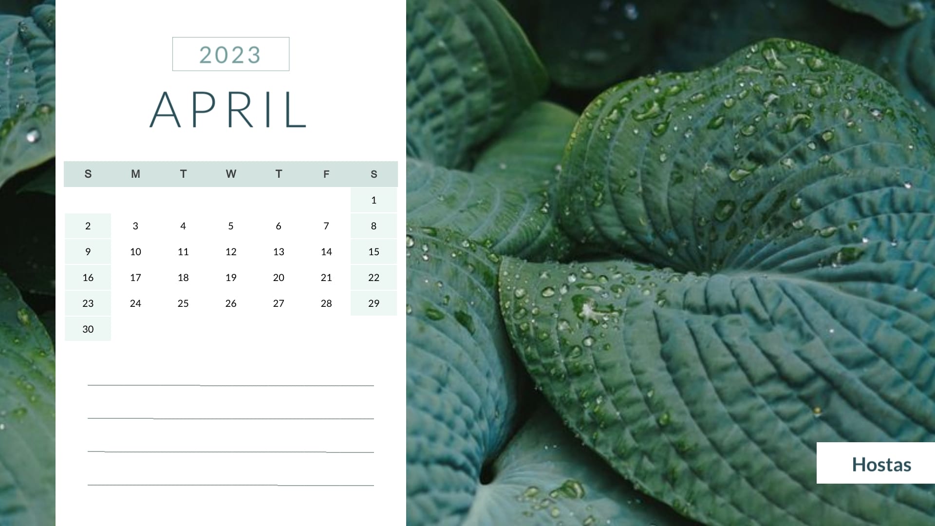 Houseplant - Calendar Template - Slide 4 Houseplant - Calendar Template - Slide 4