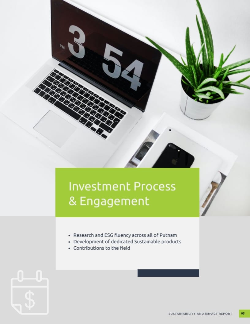 Investment White Paper Template - Slide 6 Investment White Paper Template - Slide 6