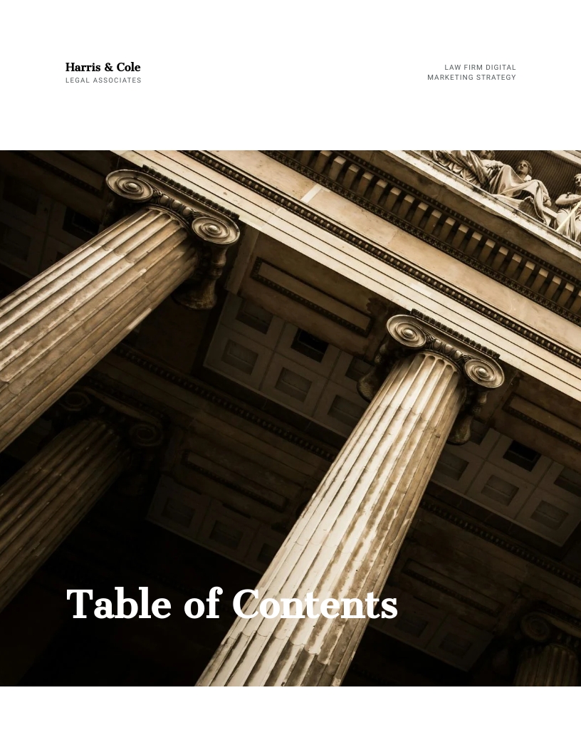 Law Firm Digital Marketing Strategy Template - Slide 2 Law Firm Digital Marketing Strategy Template - Slide 2