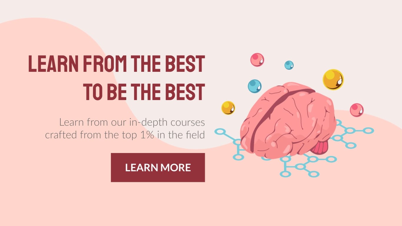 Learn From the Best Wide Template