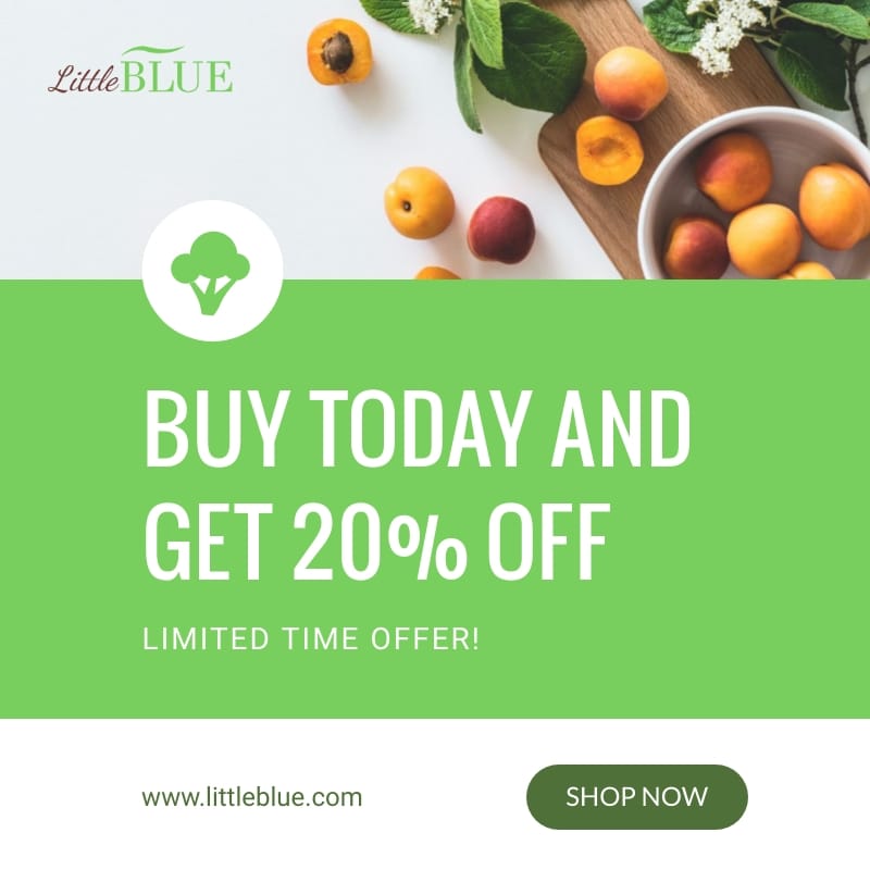 LittleBlue Discounts Blog Graphic Medium Template