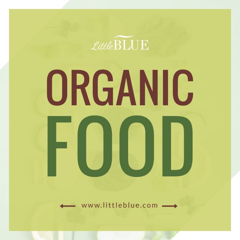 LittleBlue Organic Blog Graphic Medium Template