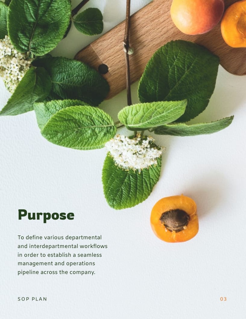 Manufacturing Company SOP Plan