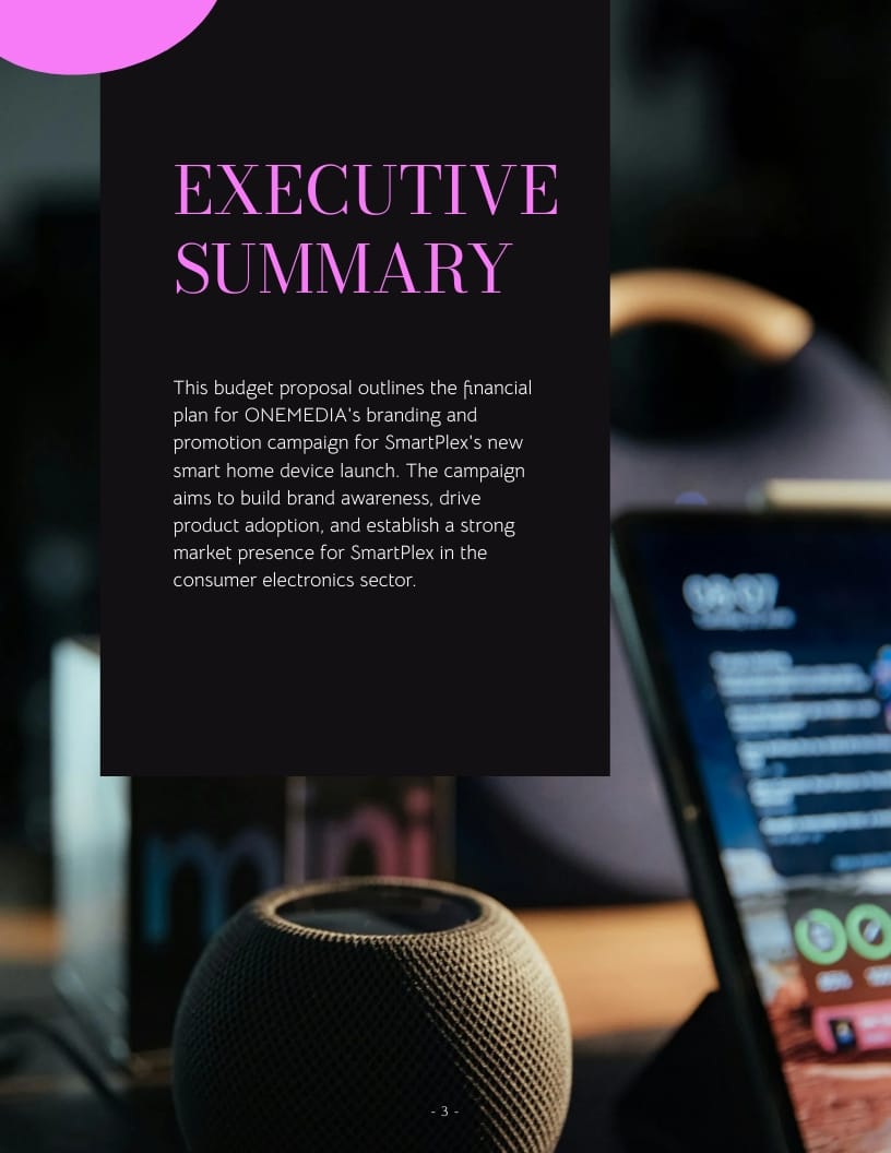 Marketing Budget Launch Proposal Template - Slide 3 Marketing Budget Launch Proposal Template - Slide 3