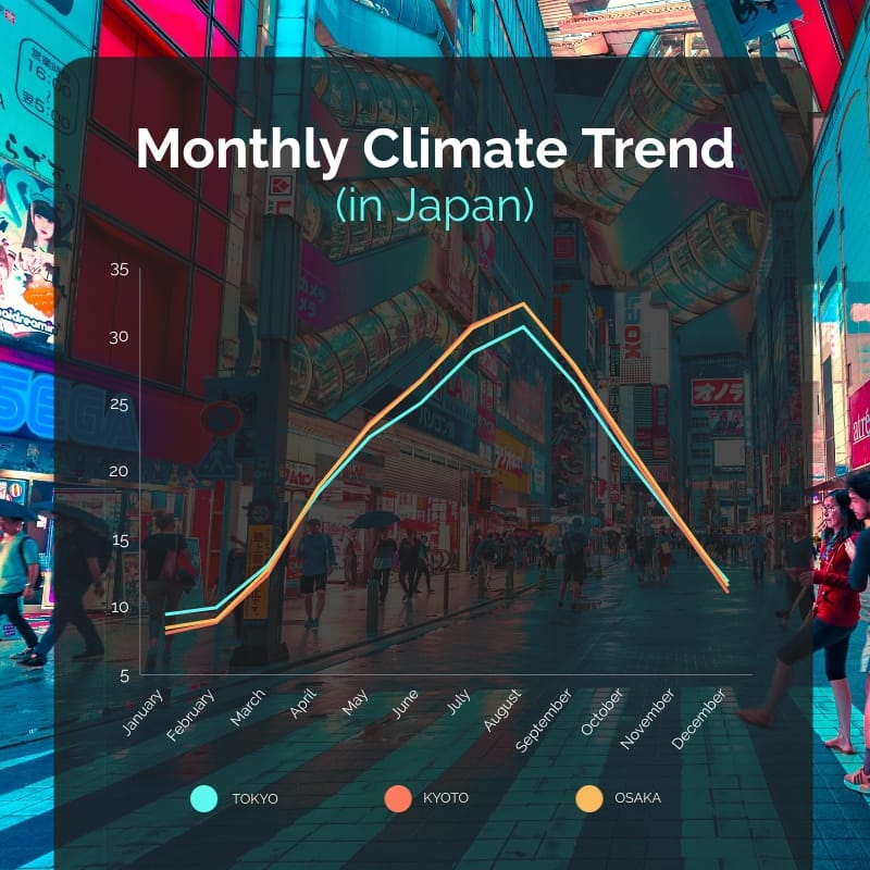 Monthly Climate Trend in Japan Line Graph Square Template Template