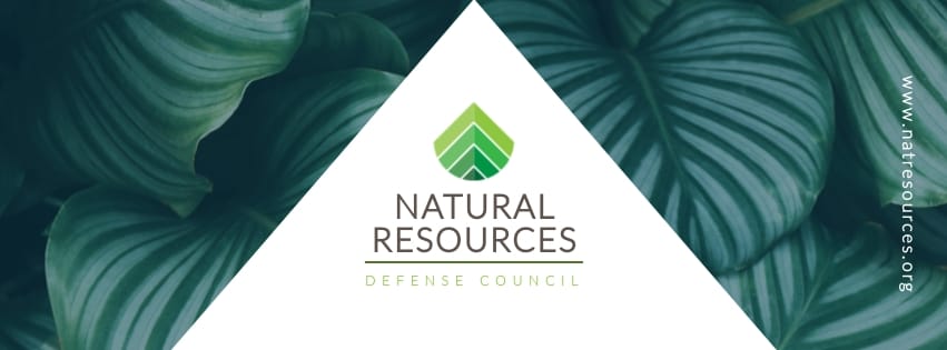 Natural Resources Facebook Cover Template