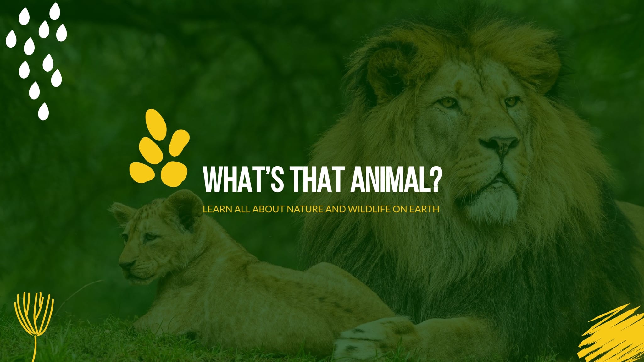 Nature and Wildlife Channel YouTube Banner Template