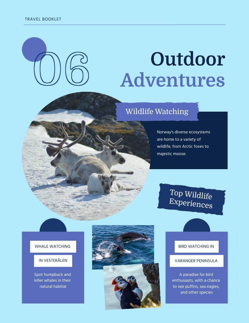 Norway Travel Booklet Template - Slide 6 Norway Travel Booklet Template - Slide 6