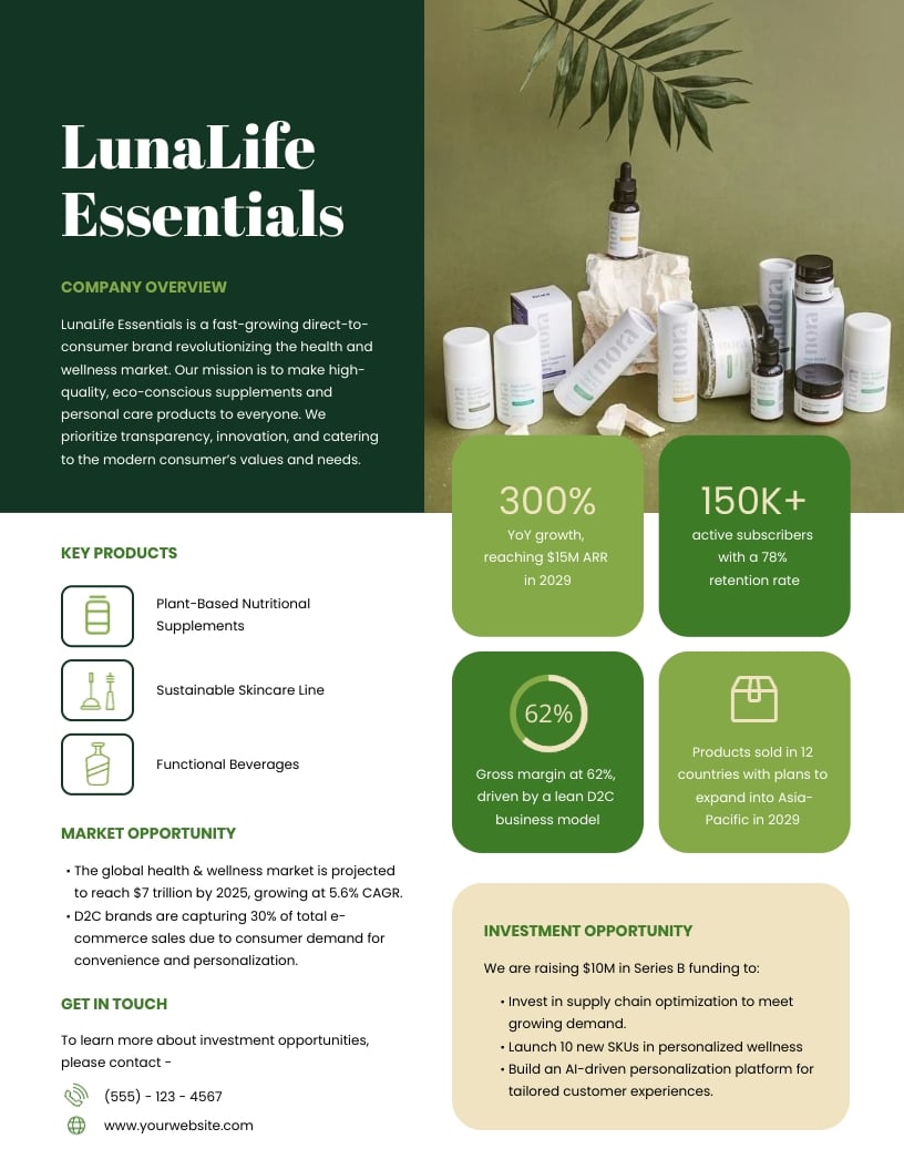 One Pager Investment Pitch Template
