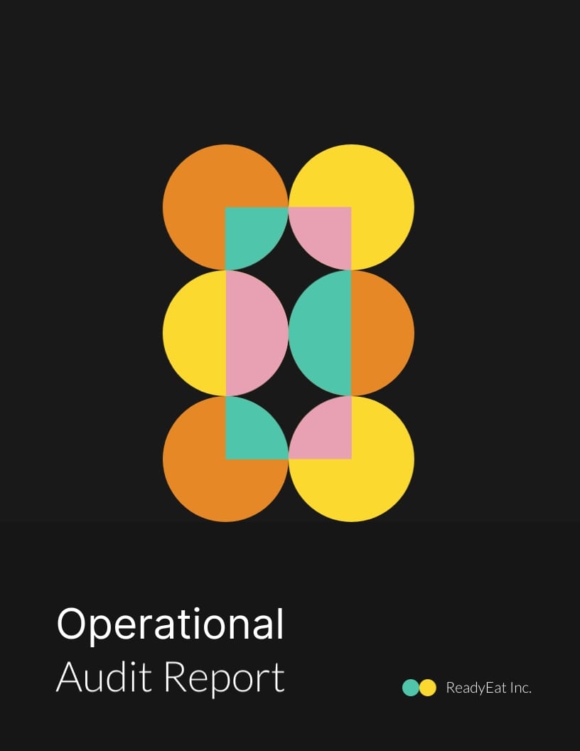 Operational Audit Report Template