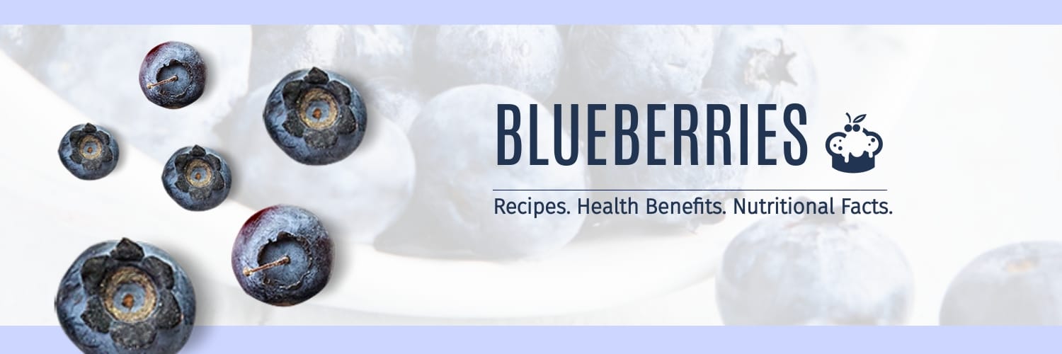 Organic Blueberries Template Organic Blueberries Template