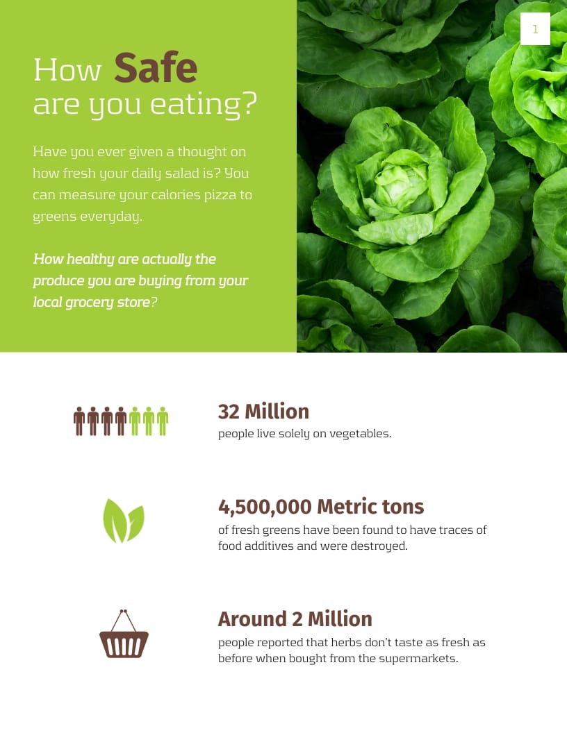 Organic Food Products Promotion White Paper