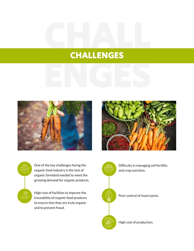 Organic Food Whitepaper Template - Slide 5 Organic Food Whitepaper Template - Slide 5