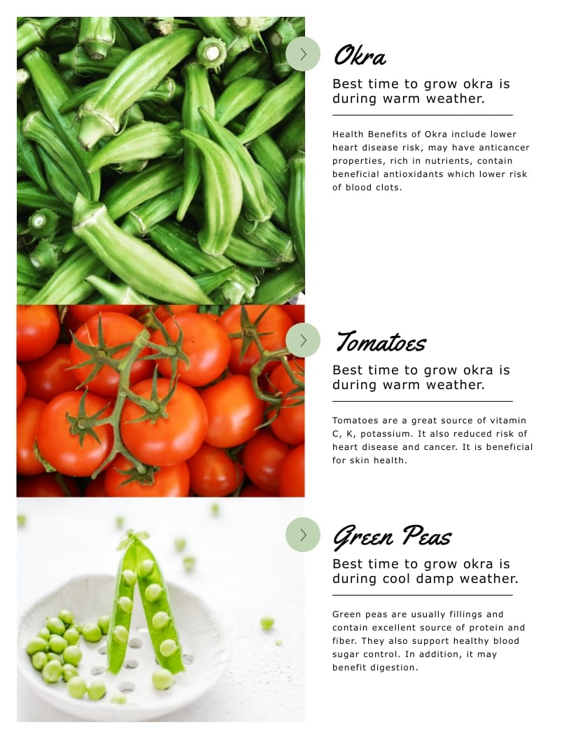 Organic Magazine Cover Template Visme