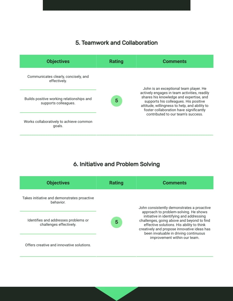 Performance Evaluation Form