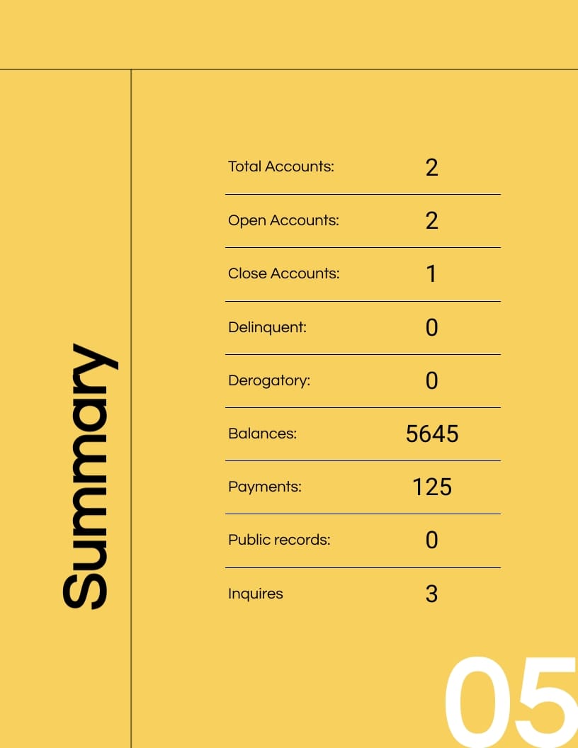 Personal Credit Report Template - Slide 5 Personal Credit Report Template - Slide 5