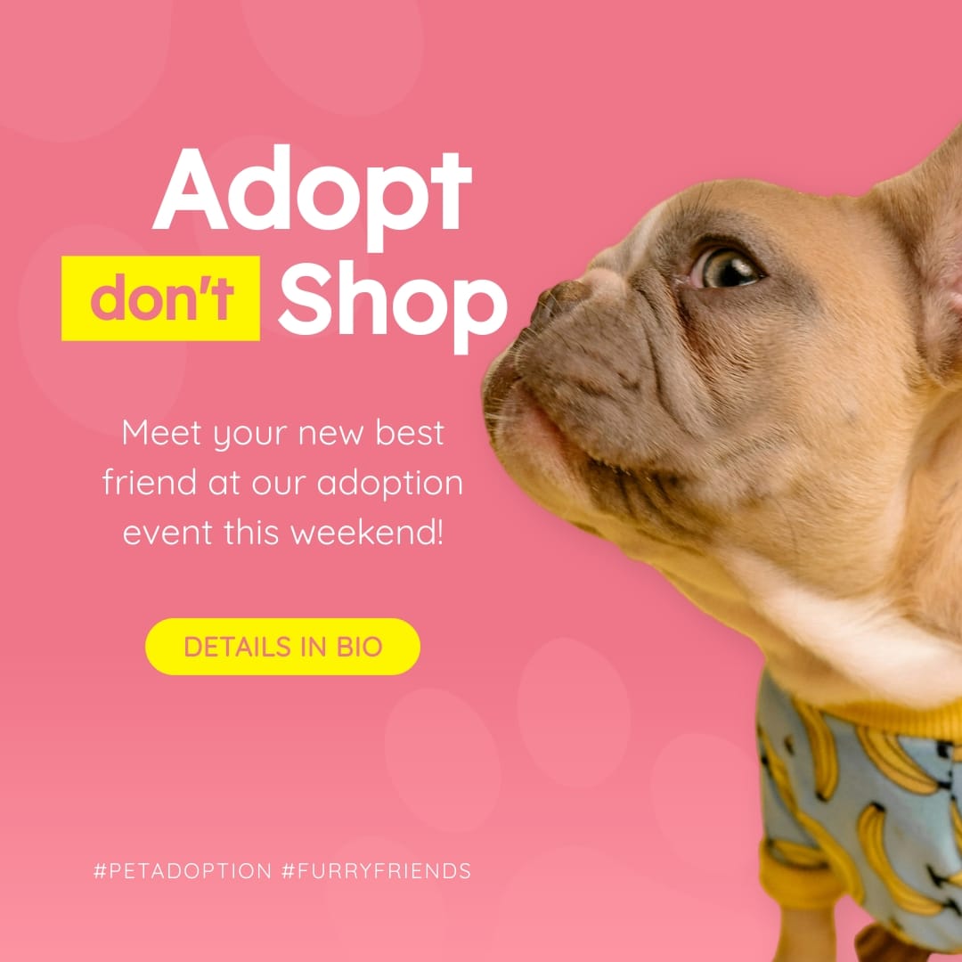Pet Adoption Event Instagram Post Template