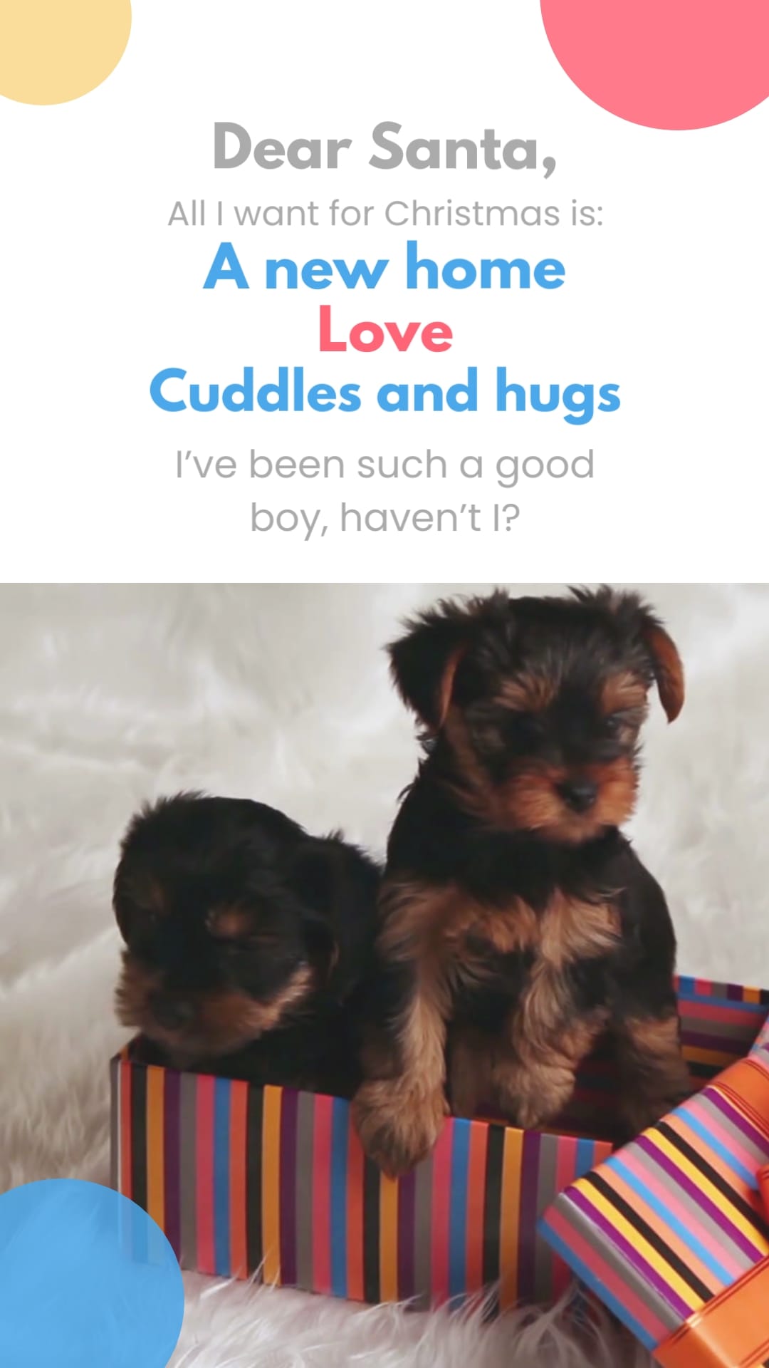 Pet Adoption Promo Ad Vertical Template
