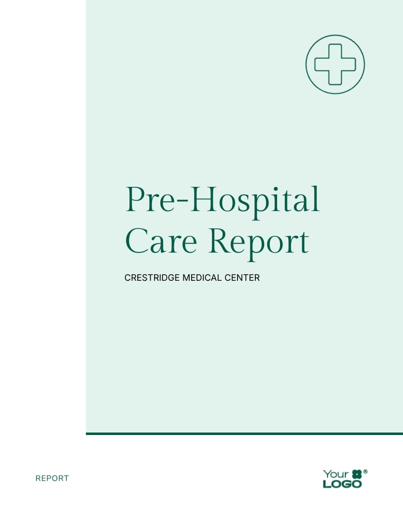 Pre Hospital Care Report Template
